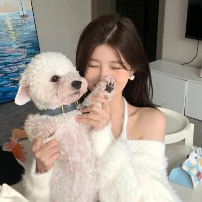 迪斯可人生